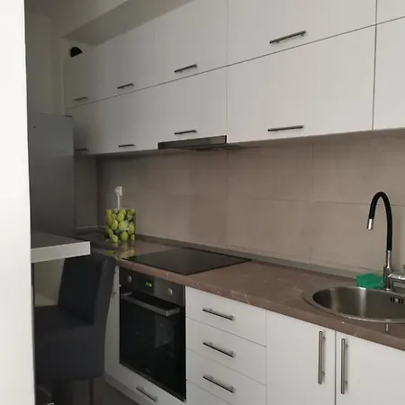 Apartment Apartman Rosic