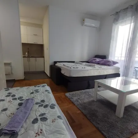 Διαμέρισμα Rosic Τρέμπινιε