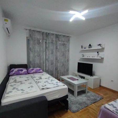 Apartman Rosic Apartment *